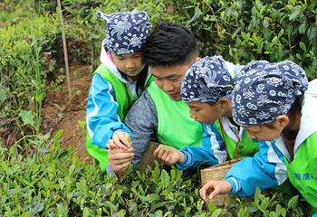 茶溪谷第 7 张图片