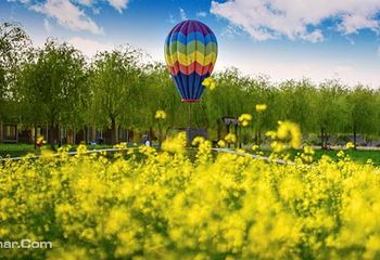 龙园旅游度假区第 14 张图片