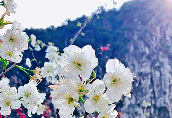 南溪山景区第 4 张图片