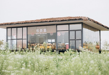 蔚然花海第 133 张图片