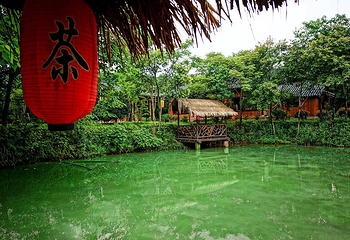 诸葛八卦村景区第 12 张图片