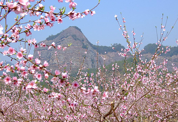 清远金子山原生态旅游风景区第 62 张图片