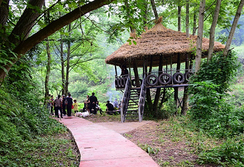 石桥水乡湿地公园第 13 张图片