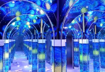 梵高星空艺术馆第 18 张图片