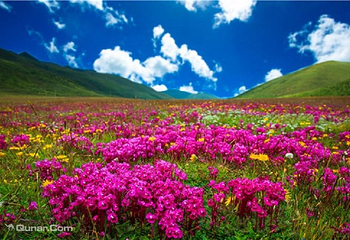 木雅圣地景区第 3 张图片