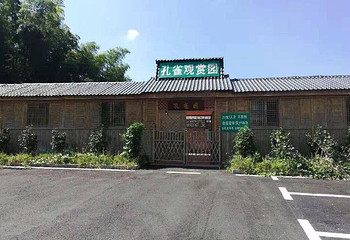 九龙溪孔雀园第 2 张图片
