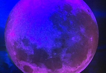梵高星空艺术馆第 15 张图片