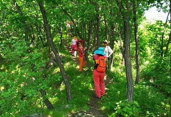 回龙山生态田园旅游区第 10 张图片