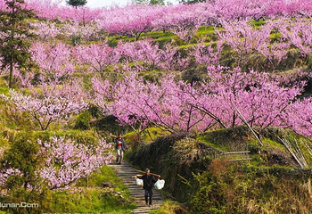 清远金子山原生态旅游风景区第 93 张图片