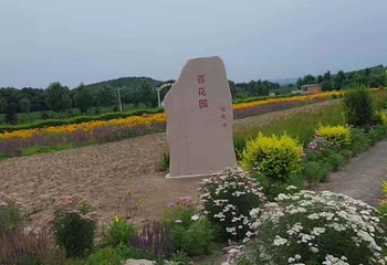回龙山生态田园旅游区第 26 张图片