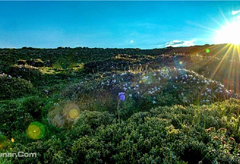 木雅圣地景区第 26 张图片
