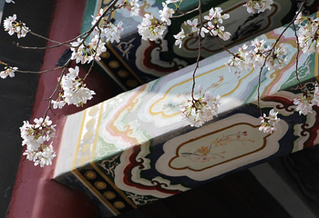 横店影视城明清宫苑园区第 86 张图片
