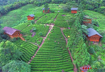 姑婆山第 5 张图片