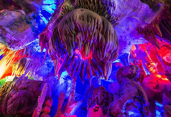 贵州九仙旅游景区第 45 张图片