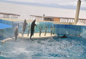 新江之岛水族馆第 2 张图片