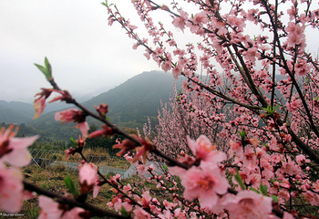 清远金子山原生态旅游风景区第 17 张图片