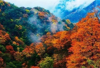 川西红枫岭第 28 张图片