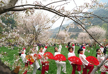 高岚大峡谷旅游度假区第 8 张图片