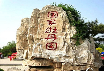 国家牡丹园第 26 张图片