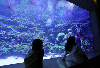 大分海之卵水族馆第 3 张图片