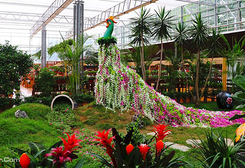 北戴河集发梦想王国第 150 张图片
