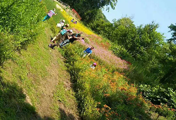 回龙山生态田园旅游区第 12 张图片