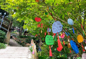 巴倒烫重庆陆派火锅山庄第 5 张图片