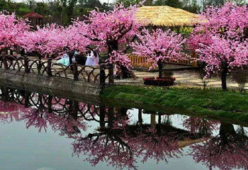 花坞御景园第 2 张图片