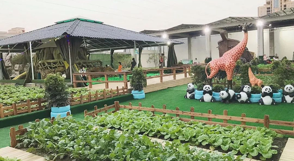 COCO天空农场(中大店)