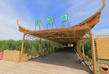 莲海世界第 10 张图片