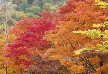 锅盔山景区第 9 张图片