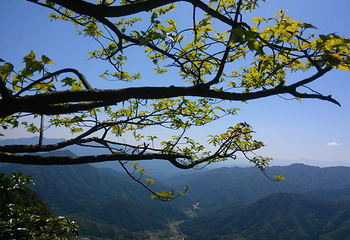 清远金子山原生态旅游风景区第 53 张图片