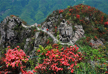 清远金子山原生态旅游风景区第 22 张图片