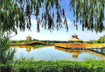 博斯腾湖大河口景区第 7 张图片