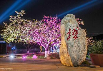 旅顺樱花园第 5 张图片