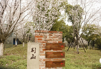 武汉园博园(武汉自然博物馆)第 6 张图片