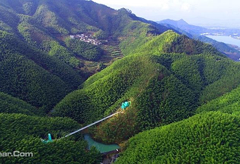 木坑竹海第 13 张图片