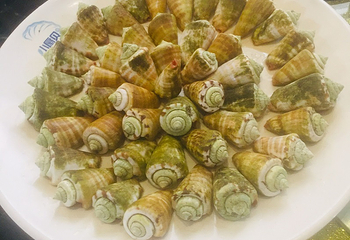三亚小扇贝海鲜餐厅亚龙湾店第 13 张图片