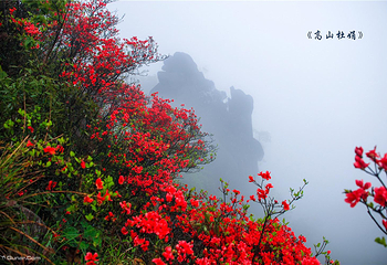 清远金子山原生态旅游风景区第 106 张图片