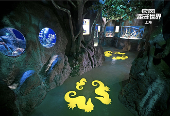 上海长风海洋世界第 25 张图片
