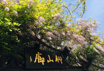武汉园博园(武汉自然博物馆)第 30 张图片