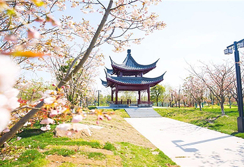 大洋湾生态旅游景区第 8 张图片