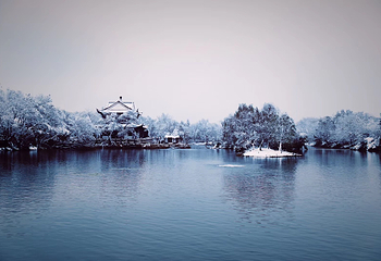 西溪湿地洪园第 18 张图片