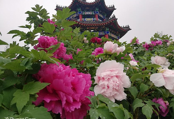 童梦香村四季亲子乐园第 1 张图片