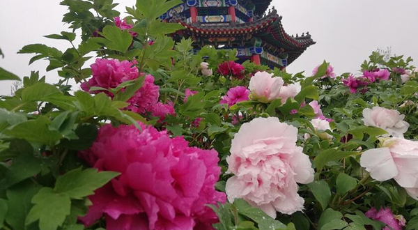 童梦香村四季亲子乐园