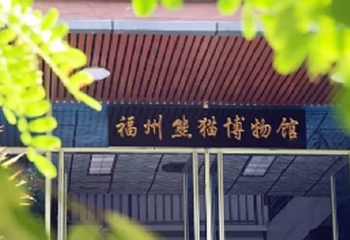 福州熊猫世界第 1 张图片