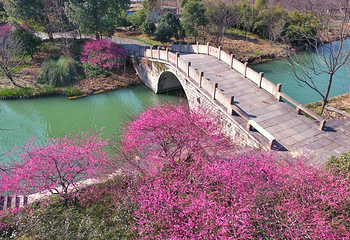 西溪湿地洪园第 47 张图片