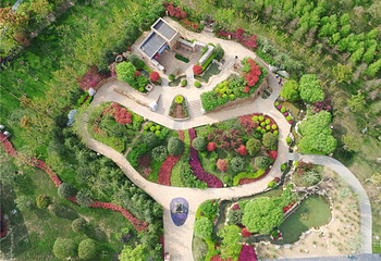 武汉园博园(武汉自然博物馆)第 53 张图片