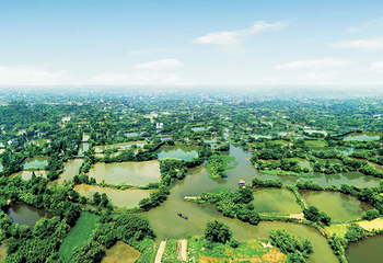 西溪湿地洪园第 50 张图片