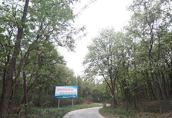 博浪沙原始森林第 6 张图片